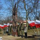 zdjęcie nr 43