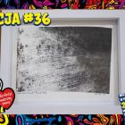 zdjęcie nr 47