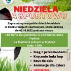zdjęcie nr 7