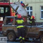 zdjęcie nr 54