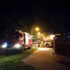 Fotka nr 1 z 8