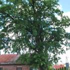zdjęcie nr 29