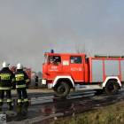 Fotka nr 5 z 44