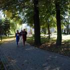 zdjęcie nr 30