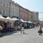 zdjęcie nr 50
