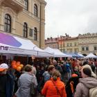 Fotka nr 5 z 72