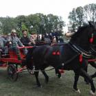 zdjęcie nr 301