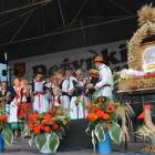 zdjęcie nr 136