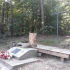 zdjęcie nr 29