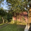 zdjęcie nr 