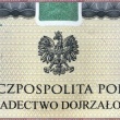 zdjęcie nr 