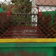 zdjęcie nr 