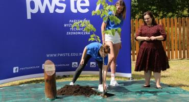 W Alei Maturzystów na terenie PWSTE została posadzona druga lipa