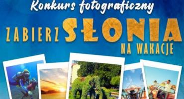 Letni konkurs fotograficzny Zabierz Słonia na wakacje