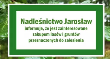 Nadleśnictwo Jarosław jest zainteresowane zakupem lasów i gruntów przeznaczonych do zalesienia