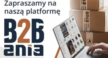 B2B Ania Holding - nowoczesna platforma elektroenergetyczna dla profesjonalistów