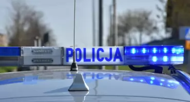 Strażak odnalazł poszukiwanego mieszańca DPS-u  