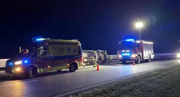 Zderzenie busa z jeleniem na autostradzie A4 w okolicach Przeworska