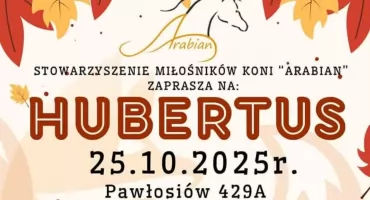 Hubertus Arabianowy w Pawłosiowie