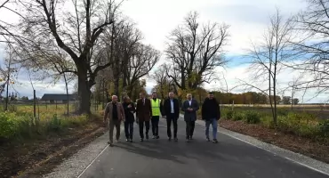 Aleja lipowa prowadząca do pałacu w Wysocku została przebudowana