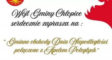  Gminne Obchody Dnia Niepodległości, połączone z Apelem Poległych w Chłopicach 