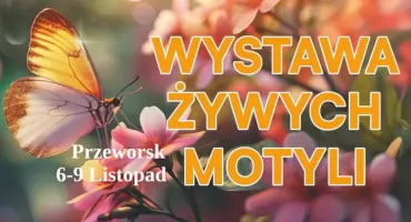 Wystawa Żywych Motyli w Przeworsku 