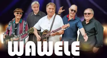 Koncert Zespołu Wawele & Jan Wojdak z Okazji Dnia Babci i Dziadka w Przeworsku 