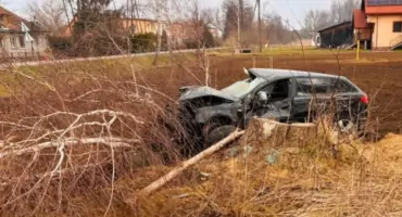 Audi uderzyło w latarnię, następnie w drzewo i wylądowało na polu uprawnym w Ryszkowej Woli