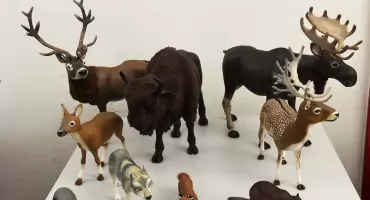 Zwierzęta z różnych stron świata  – wystawa prac Franciszka Żbika (ZDJĘCIA)