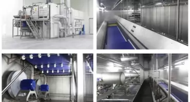 Czym jest tunel zamrażalniczy fluidyzacyjny IQF?
