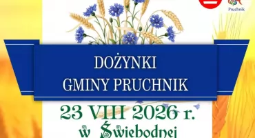 Dożynki Gminne w Świebodnej