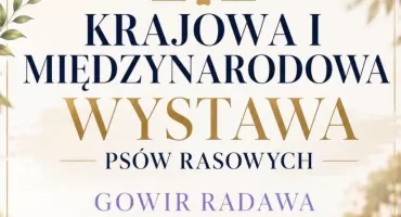 Krajowa i Międzynarodowa Wystawa Psów Rasowych w Radawie